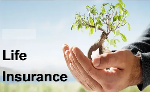 Best Term Life Insurance